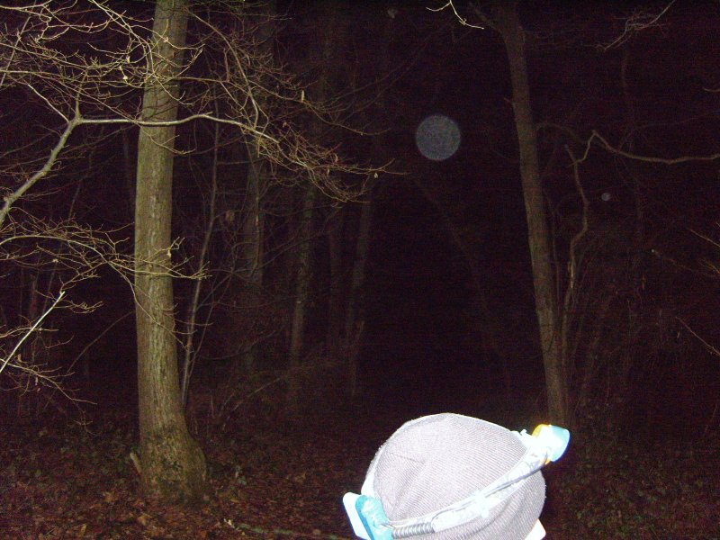 Pluckley Woods ghost hunt - Click to enlarge