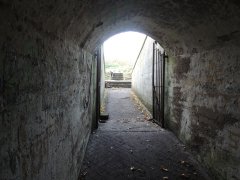 Beacon Hill Fort